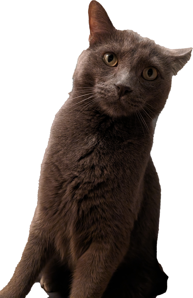 Kitty Treat Vineyard Pinot Noir