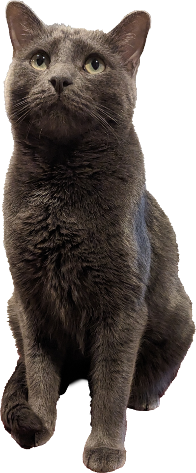 Kitty Treat Vineyard Pinot Noir