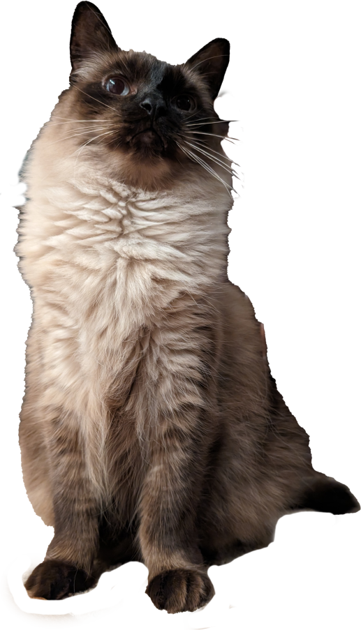 Kitty Treat Vineyard Pinot Noir